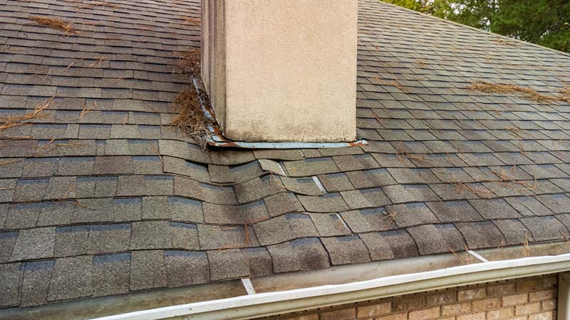 water damaged roof