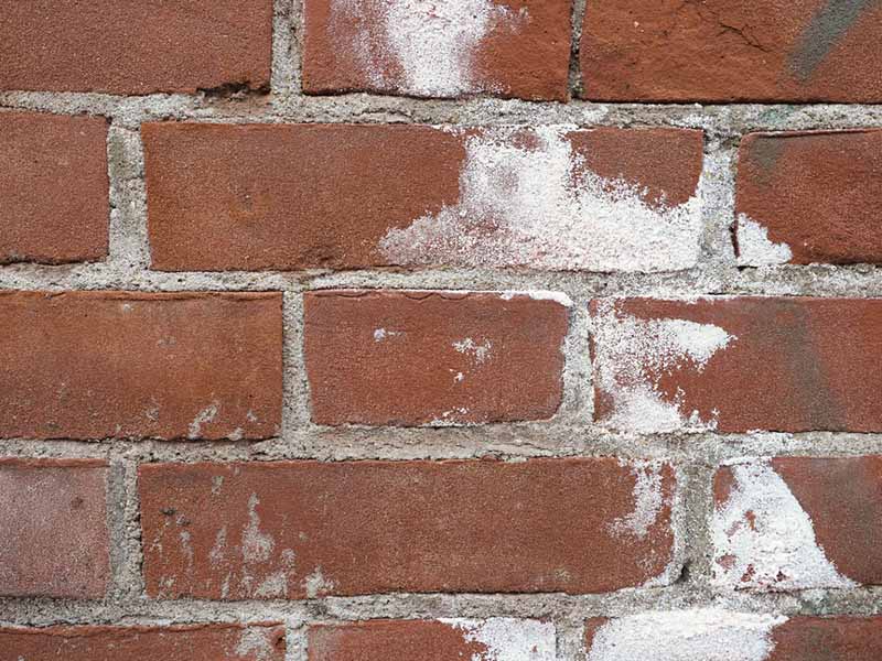 Efflorescence on bricks