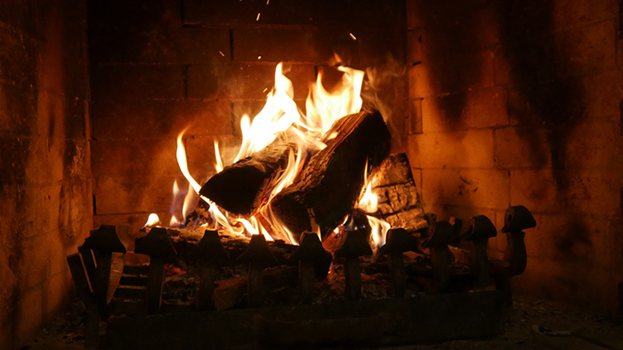 wood burning fireplace 
